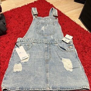F21 distressed denim overall dress